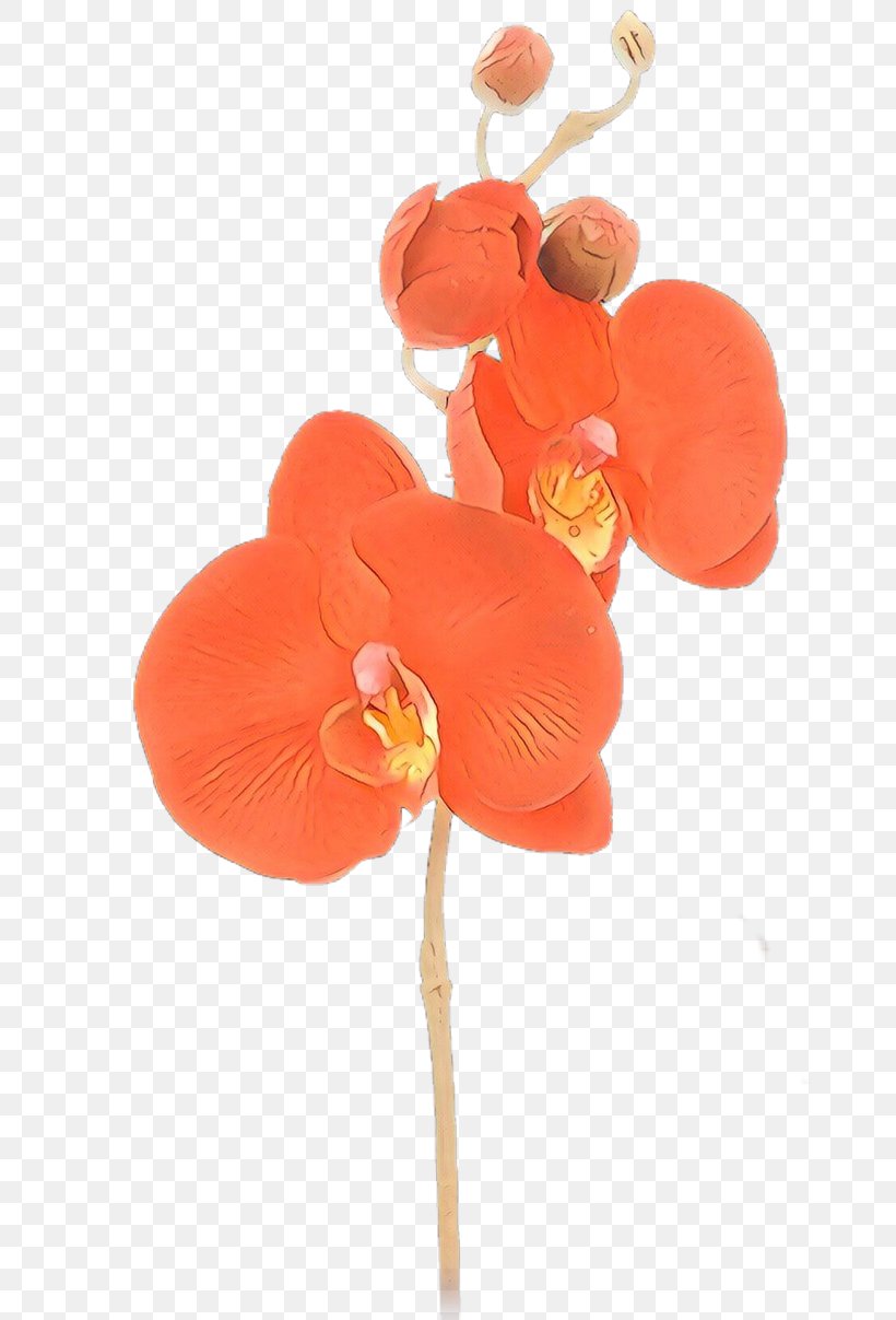 Cut Flowers Petal Moth Orchids, PNG, 800x1207px, Cartoon, Anthurium, Artificial Flower, Cut Flowers, Flower Download Free