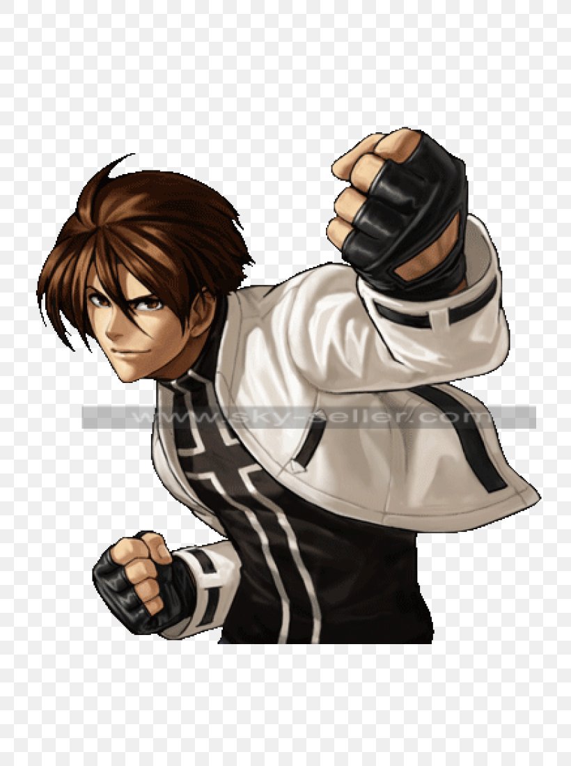 The King Of Fighters XIII The King Of Fighters XIV Kyo Kusanagi Iori Yagami The King Of Fighters '94, PNG, 750x1100px, Watercolor, Cartoon, Flower, Frame, Heart Download Free