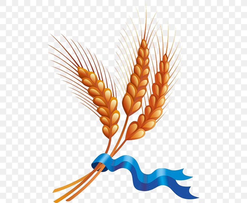 Wheat Cereal Harvest Clip Art, PNG, 507x674px, Wheat, Barley, Cartoon, Cereal, Commodity Download Free