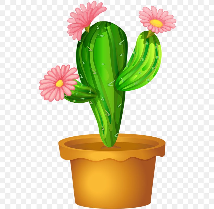 Cactaceae Plant Saguaro Clip Art, PNG, 550x800px, Cactaceae, Cactus, Caryophyllales, Drawing, Echeveria Agavoides Download Free