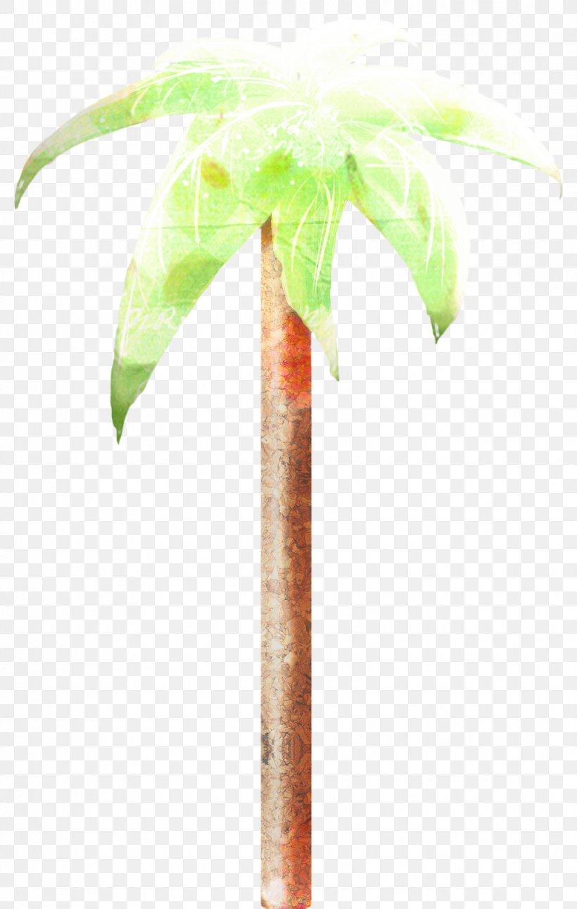 Cartoon Palm Tree, PNG, 1016x1600px, Palm Trees, Arecales, Flowerpot, Leaf, Palm Tree Download Free