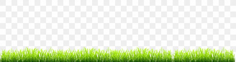 Lawn Desktop Wallpaper Grassland Grasses Computer, PNG, 1900x500px, Lawn, Commodity, Computer, Family, Field Download Free