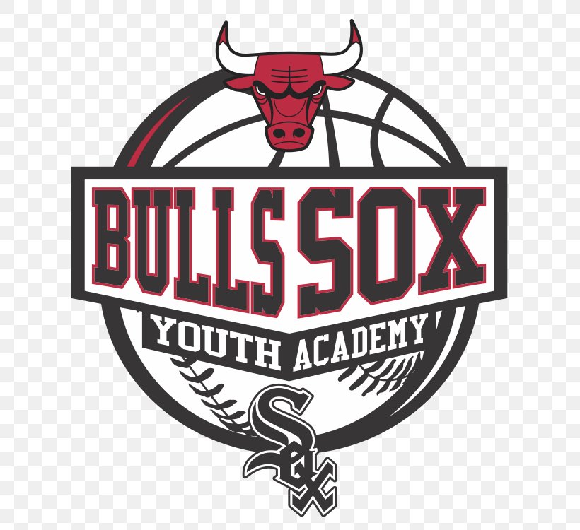 Chicago Bulls Bulls/Sox Youth Academy Chicago White Sox Sport NBA, PNG, 750x750px, Chicago Bulls, Baseball, Basketball, Brand, Chicago White Sox Download Free