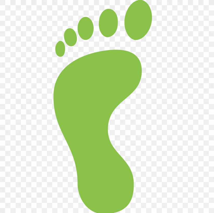 Footprints, PNG, 1600x1600px, Footprint, Carbon Footprint, Ecological Footprint, Foot, Grass Download Free