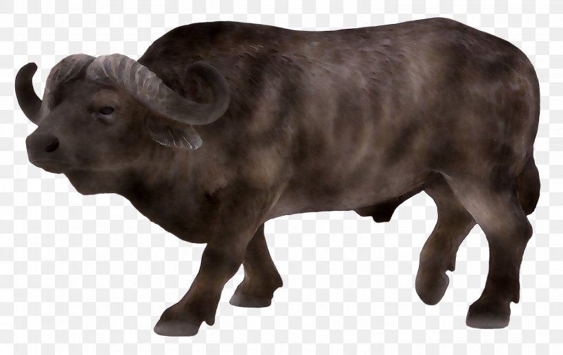 Water Buffalo Tim's Toy Farm Schleich Cattle, PNG, 3064x1934px, Water Buffalo, African Buffalo, Animal, Animal Figure, Art Download Free