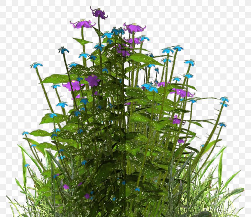 Flower Purple Herb Shrub, PNG, 2084x1802px, Flower, Flora, Grass, Herb, Plant Download Free