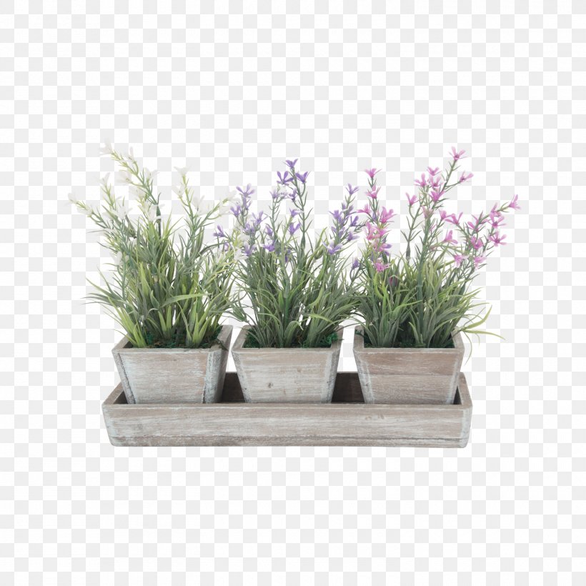 Herb Flowerpot Rectangle Lavender, PNG, 1500x1500px, Herb, Flowerpot, Grass, Lavender, Plant Download Free