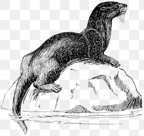 Sea Otter Drawing Clip Art, PNG, 2400x3000px, Otter, Artist, Big Cats ...