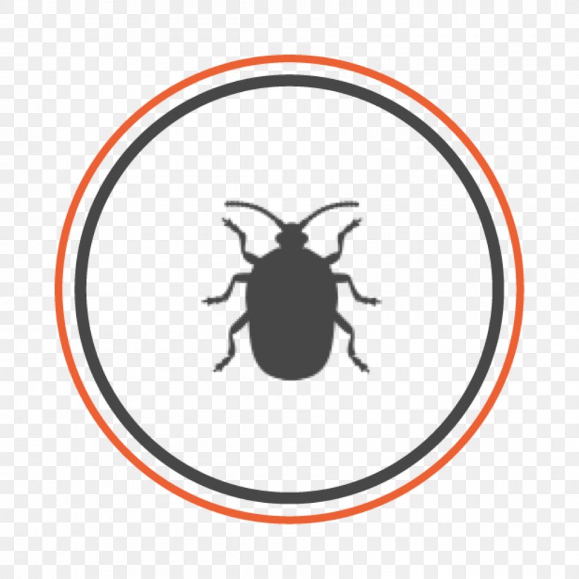 Beetle Allgood Pest Solutions Brown Marmorated Stink Bug Bed Bug, PNG, 1800x1800px, Beetle, Area, Arthropod, Artwork, Atlanta Download Free