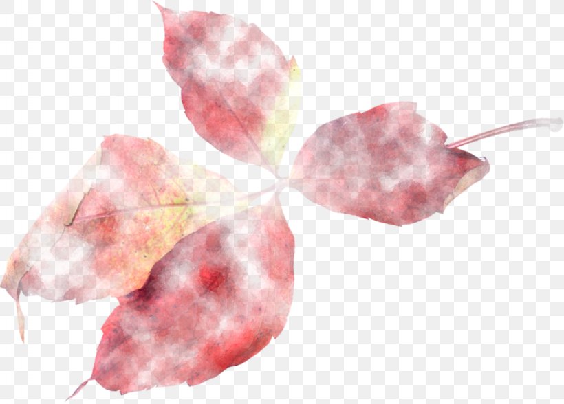 Centerblog Petal Leaf, PNG, 1024x735px, 2016, Centerblog, Blog, Flower, Friendship Download Free