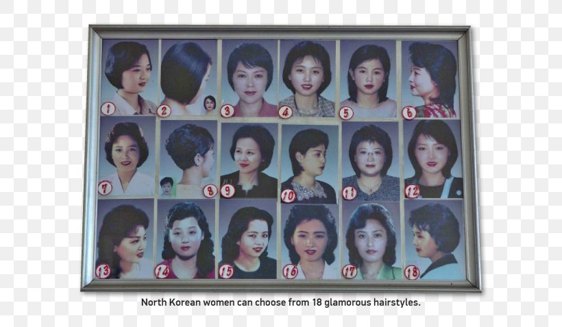 Hairstyle Pyongyang Barber Fashion Beauty Parlour, PNG, 619x477px,  Hairstyle, Barber, Beauty Parlour, Black Hair, Bob Cut