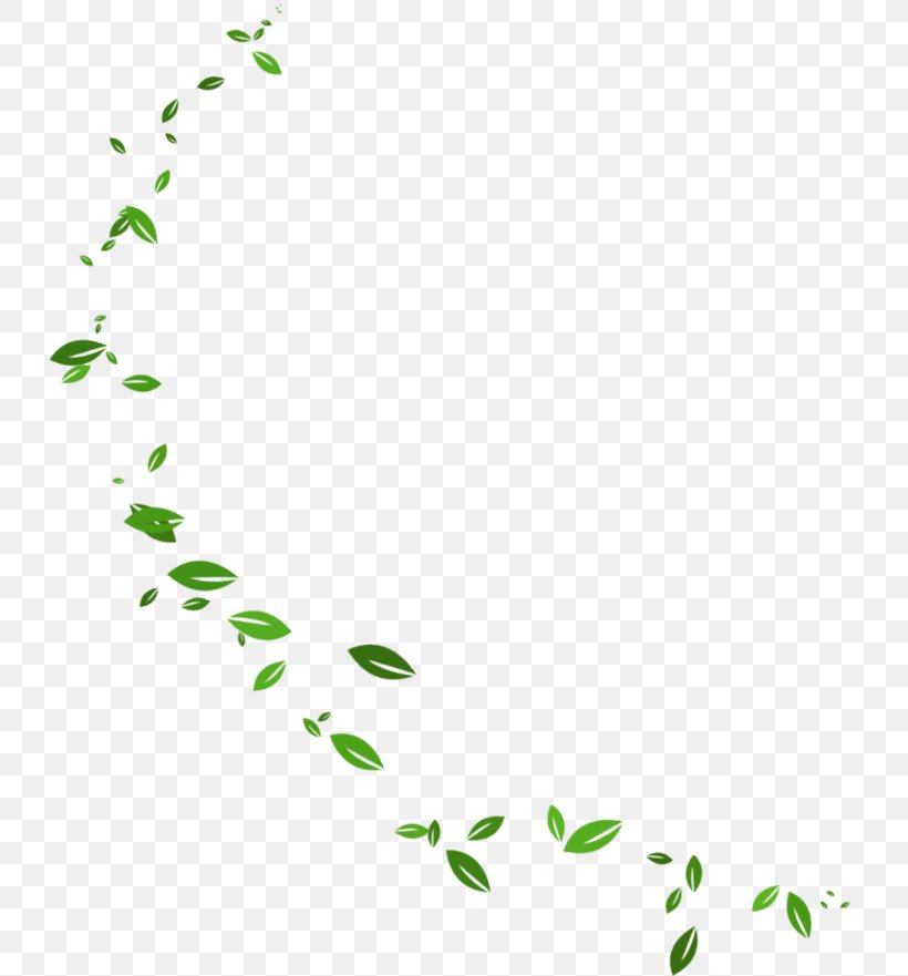 Leaf Download Information, PNG, 735x881px, Leaf, Area, Editing, Google Images, Grass Download Free