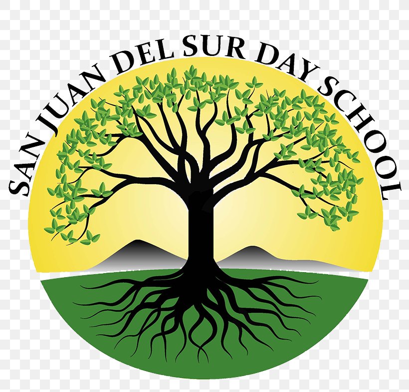 San Juan Del Sur Playa Marsella Student Day School Clip Art, PNG, 815x785px, San Juan Del Sur, Area, Artwork, Beach, Branch Download Free