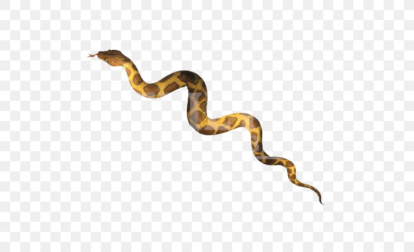 Boa Constrictor Snake Reticulated Python Venom Animal, PNG, 500x500px, Boa Constrictor, Animal, Boas, Costume, Halloween Download Free