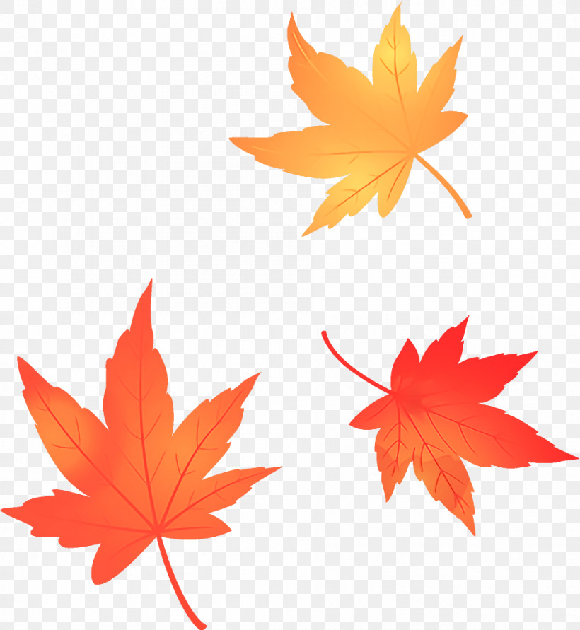 Maple Leaves Autumn Leaves Fall Leaves, PNG, 944x1026px, Maple Leaves, Autumn Leaves, Black Maple, Deciduous, Fall Leaves Download Free