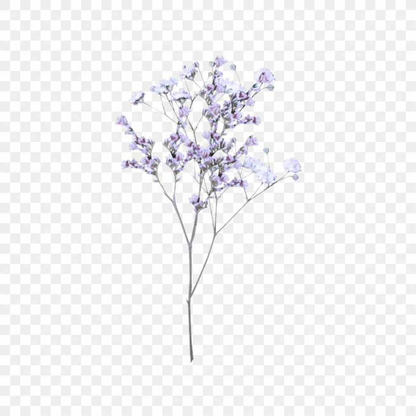 Tree Lilac Branch Plant Purple, PNG, 1024x1024px, Tree, Branch, Flower, Leaf, Lilac Download Free