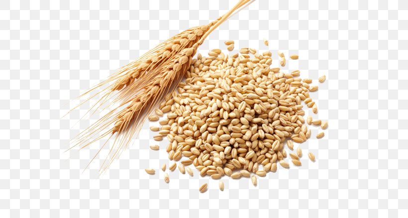 Wheat Germ Oil Atta Flour Cereal Germ Wheat Berry, PNG, 658x438px, Atta Flour, Bran, Cereal, Cereal Germ, Commodity Download Free
