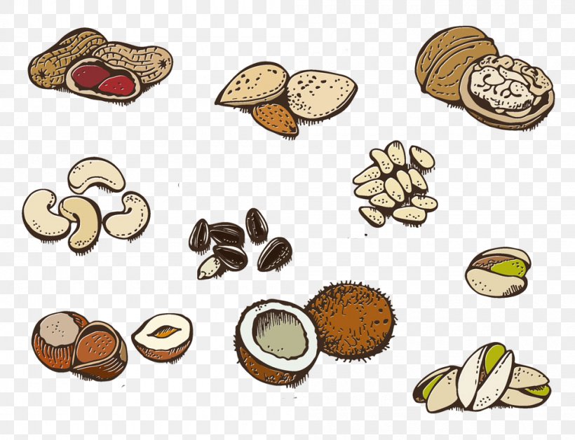 Clip Art Vegetarian Cuisine Nut Image Illustration, PNG, 1000x767px, Vegetarian Cuisine, Chestnut, Chinese Chestnut, Drawing, Dried Fruit Download Free