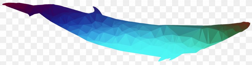 Dolphin Line, PNG, 3000x777px, Dolphin, Blue Whale, Cetacea, Fin, Fish Download Free