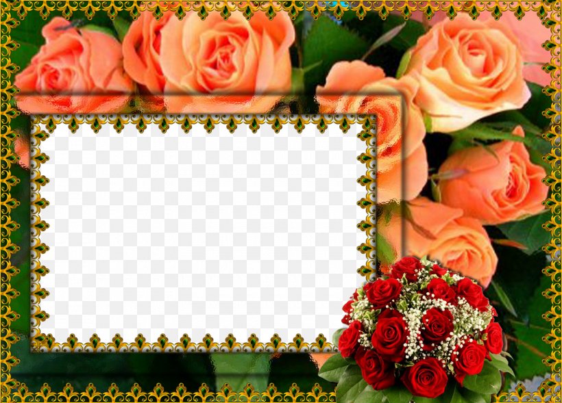 Flower Picture Frames Film Frame Clip Art, PNG, 1600x1150px, Flower, Alpha Compositing, Animation, Cut Flowers, Film Frame Download Free