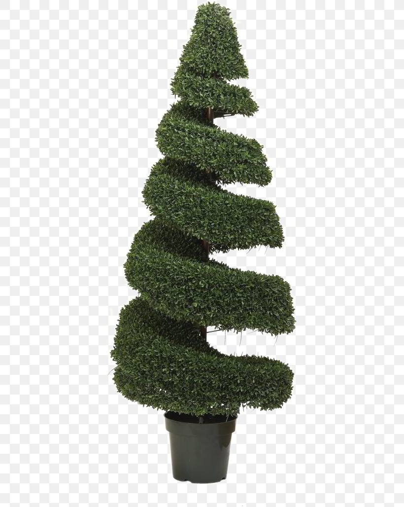 Spruce Christmas Tree Box Fir, PNG, 388x1028px, Spruce, Biome, Box, Cedar, Christmas Decoration Download Free