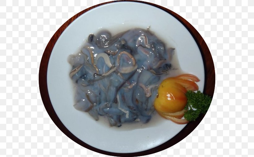 Asian Cuisine Recipe Dish Seafood, PNG, 570x507px, Asian Cuisine, Asian Food, Cuisine, Dish, Dishware Download Free