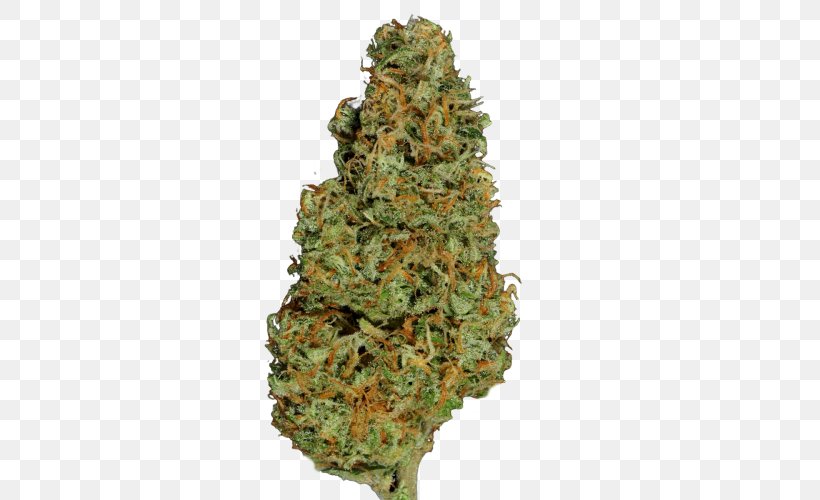 Feminized Cannabis Hemp Conifer Cone Blue Dream, PNG, 500x500px, Cannabis, Blue Dream, Camouflage, Conifer Cone, Cultivar Download Free