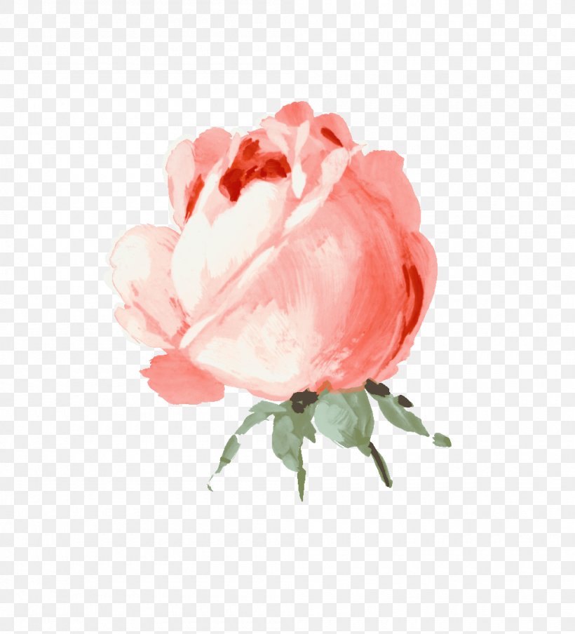 Garden Roses Still Life: Pink Roses Clip Art, PNG, 1000x1103px, Rose, Bud, Carnation, Cut Flowers, Drawing Download Free
