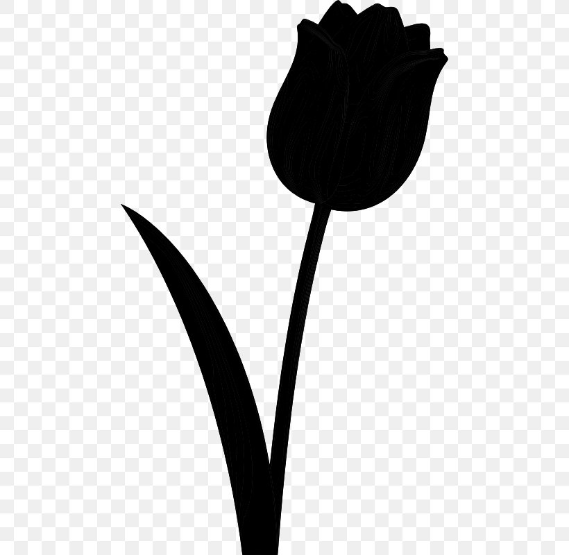 Tulip Plant Stem Leaf Clip Art Silhouette, PNG, 472x800px, Tulip, Anthurium, Arum Family, Blackandwhite, Botany Download Free