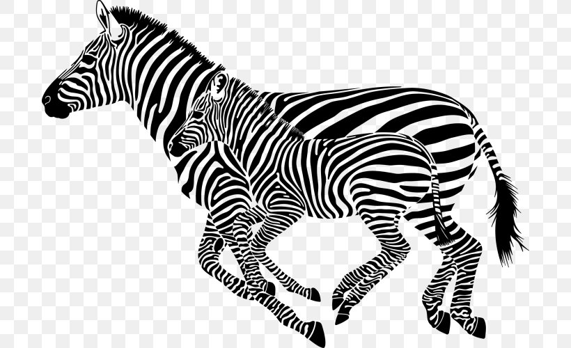 Zebra Cdr Clip Art, PNG, 700x500px, Zebra, Animal Figure, Big Cats, Black And White, Cdr Download Free