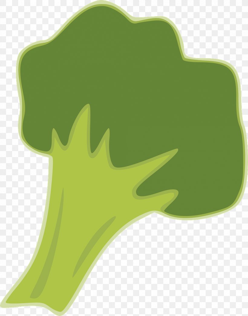 Broccoli Vegetable Brassica Juncea Food, PNG, 1003x1280px, Broccoli, Brassica Juncea, Chinese Cabbage, Finger, Food Download Free