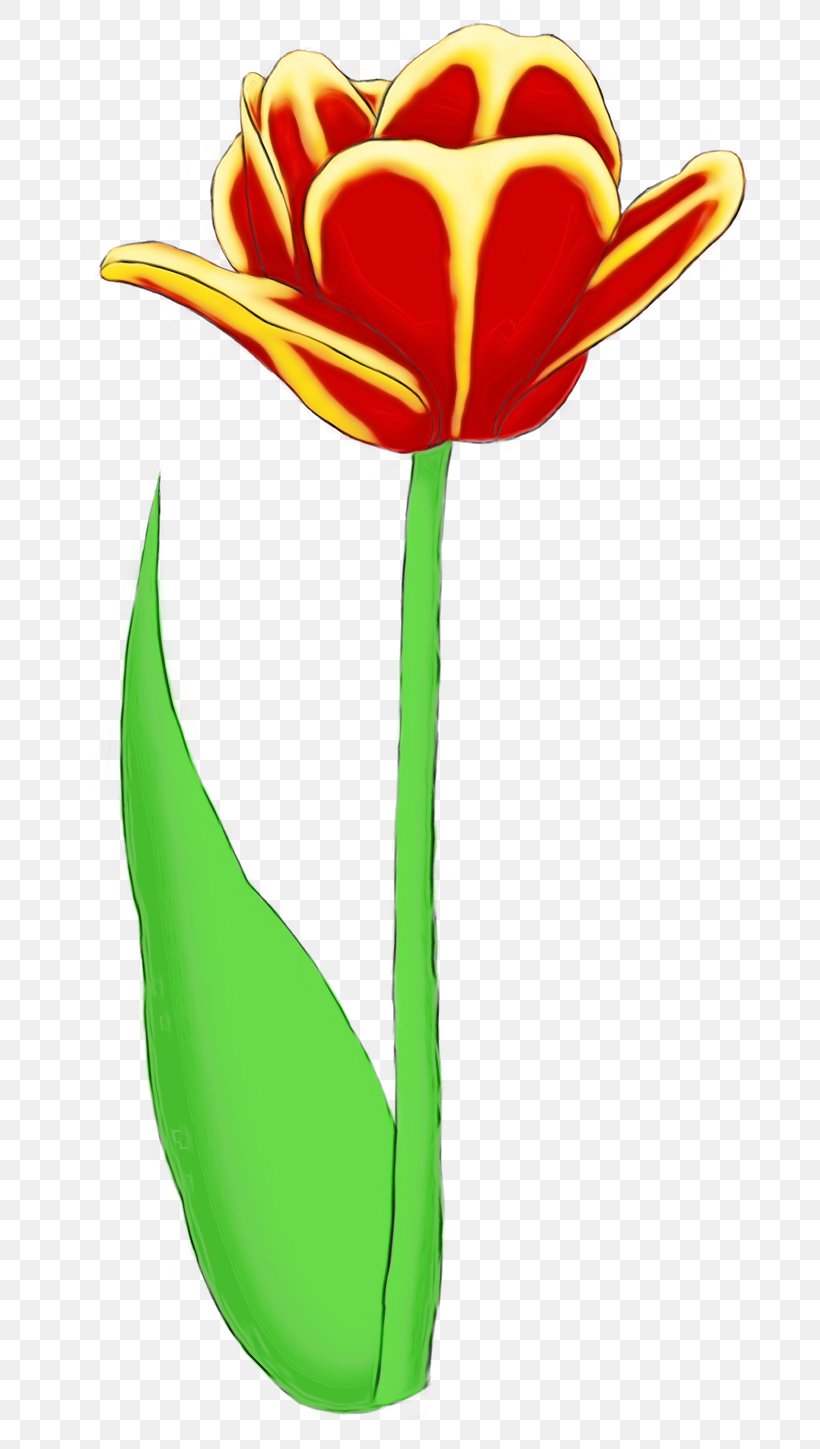 Clip Art Flower Tulip Plant Plant Stem, PNG, 735x1449px, Watercolor, Cut Flowers, Flower, Paint, Pedicel Download Free