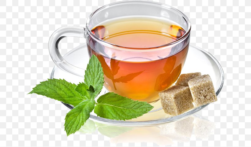 Earl Grey Tea Mate Cocido Green Tea Oolong, PNG, 647x481px, Earl Grey Tea, Assam Tea, Barley Tea, Chinese Herb Tea, Cup Download Free