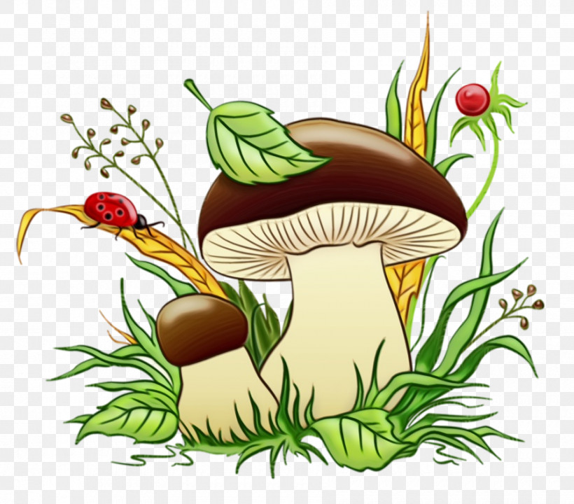 Flower Vegetable Flowerpot Mushroom, PNG, 900x791px, Watercolor, Flower, Flowerpot, Mushroom, Paint Download Free