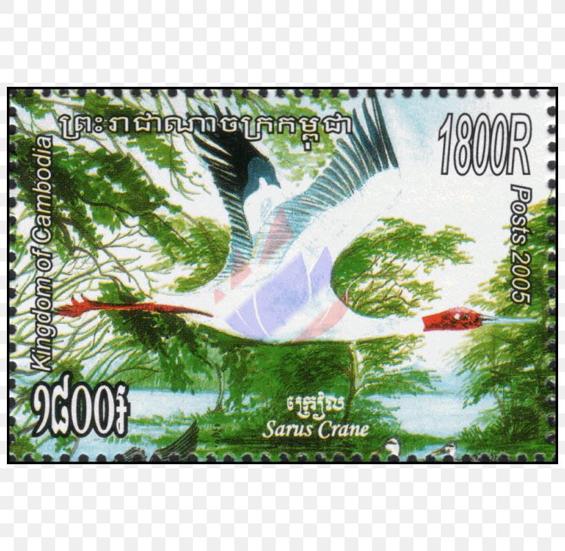 Burmese Sarus Crane Antigone Câu Lạc Bộ Sưu Tập Tem Viet Stamp Advertising, PNG, 800x800px, Sarus Crane, Advertising, Antigone, Beak, Bird Download Free