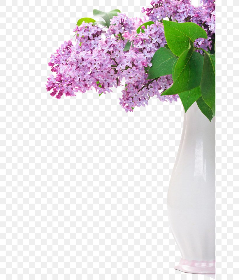 Flower Lilac Purple Stock Photography, PNG, 658x961px, Flower, Blossom, Branch, Color, Cut Flowers Download Free