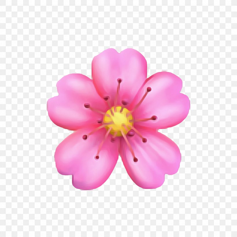 Iphone Flower Emoji, PNG, 2048x2048px, Emoji, Blossom, Cherries, Cherry Blossom, Cherry Blossom Front Download Free
