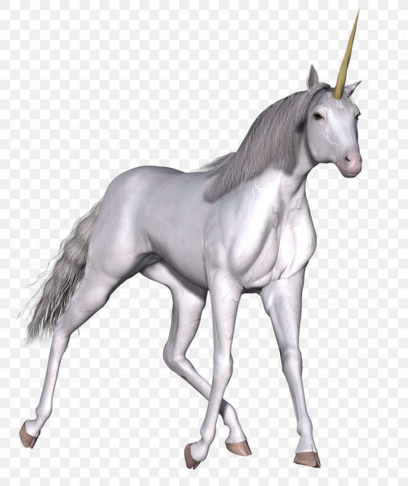 Unicorn Mane Mustang Legendary Creature, PNG, 1074x1280px, Unicorn, Animal Figure, Bridle, Colt, Fairy Tale Download Free