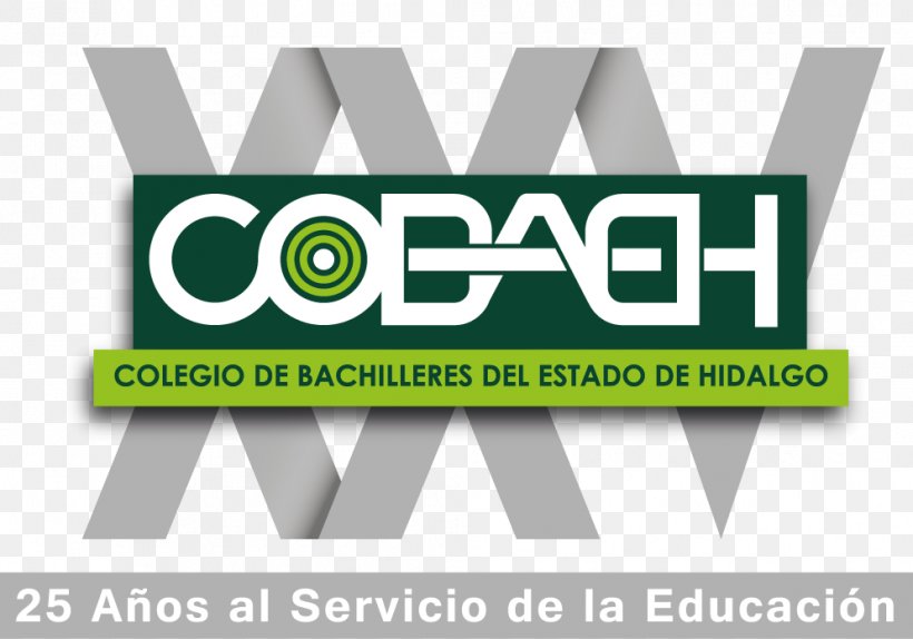 Zempoala Logo Acatlán COBAEH San Agustín Tlaxiaca Chapantongo, PNG, 994x696px, Logo, Brand, Green, Hidalgo, Ixmiquilpan Download Free