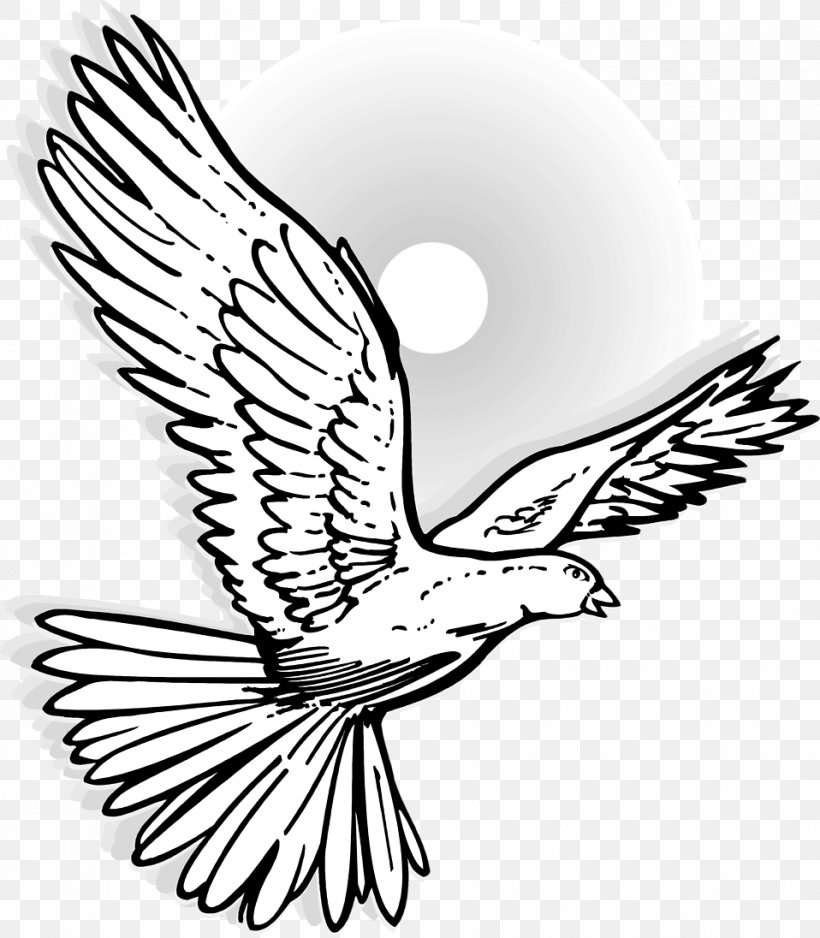 Columbidae Drawing Mourning Dove Clip Art, PNG, 958x1096px, Columbidae, Art, Artwork, Beak, Bird Download Free