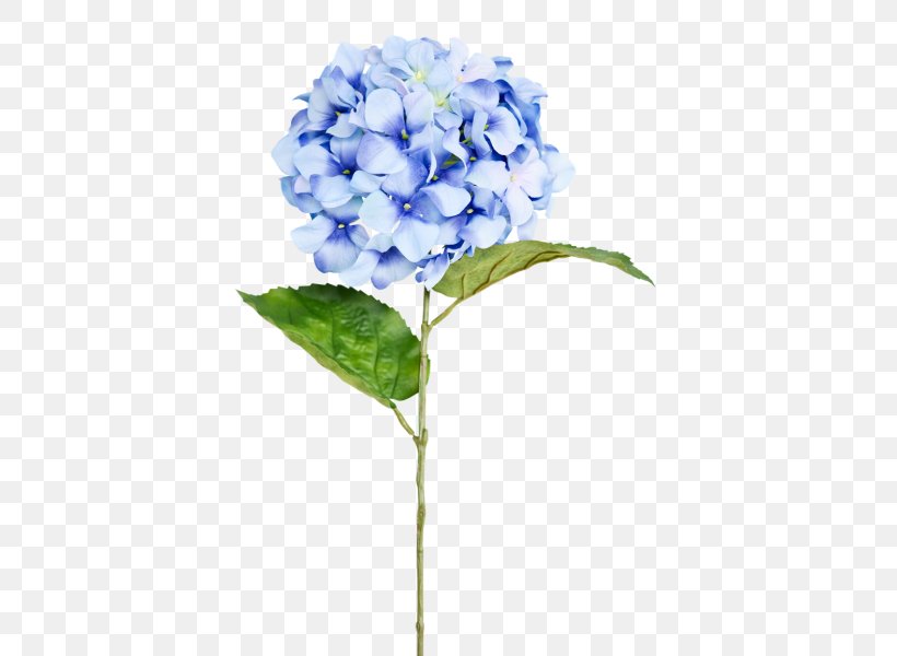 Cut Flowers Hydrangea Floral Design Lilac, PNG, 800x600px, Flower, Blue, Cornales, Cut Flowers, Floral Design Download Free