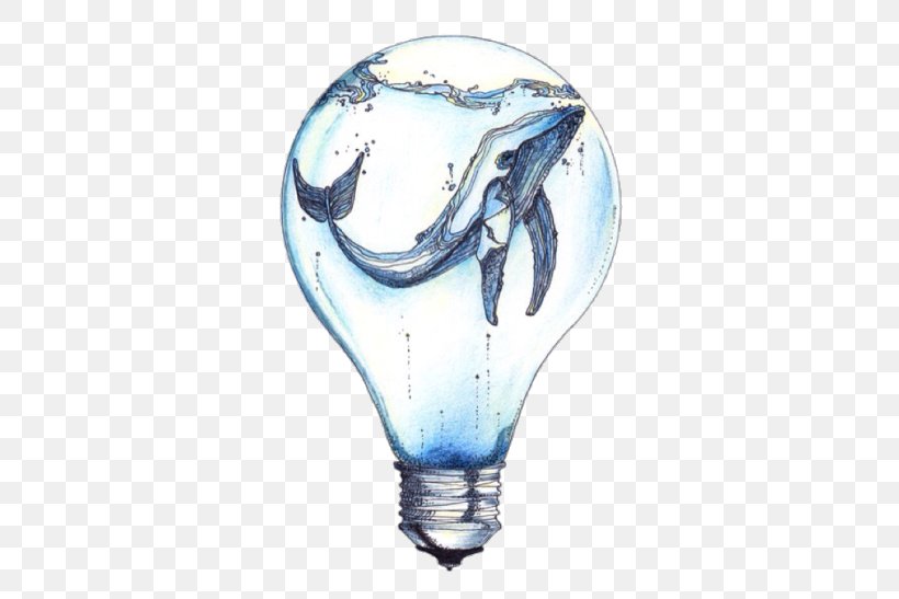 Incandescent Light Bulb Whale Drawing Art, PNG, 500x547px, Light, Abziehtattoo, Animal, Art, Color Download Free