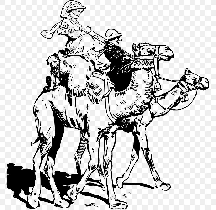 Camel Black And White Clip Art, PNG, 772x800px, Camel, Adventure, Art, Black And White, Camel Like Mammal Download Free