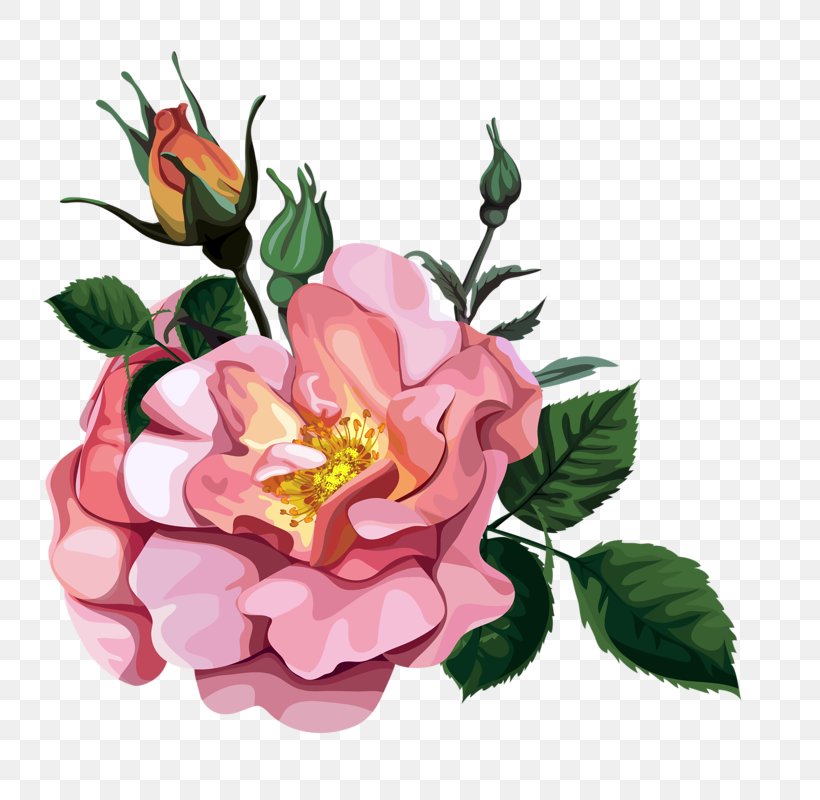 Garden Roses Flower Bouquet Clip Art, PNG, 774x800px, Garden Roses, Artificial Flower, Blog, Centifolia Roses, Cut Flowers Download Free