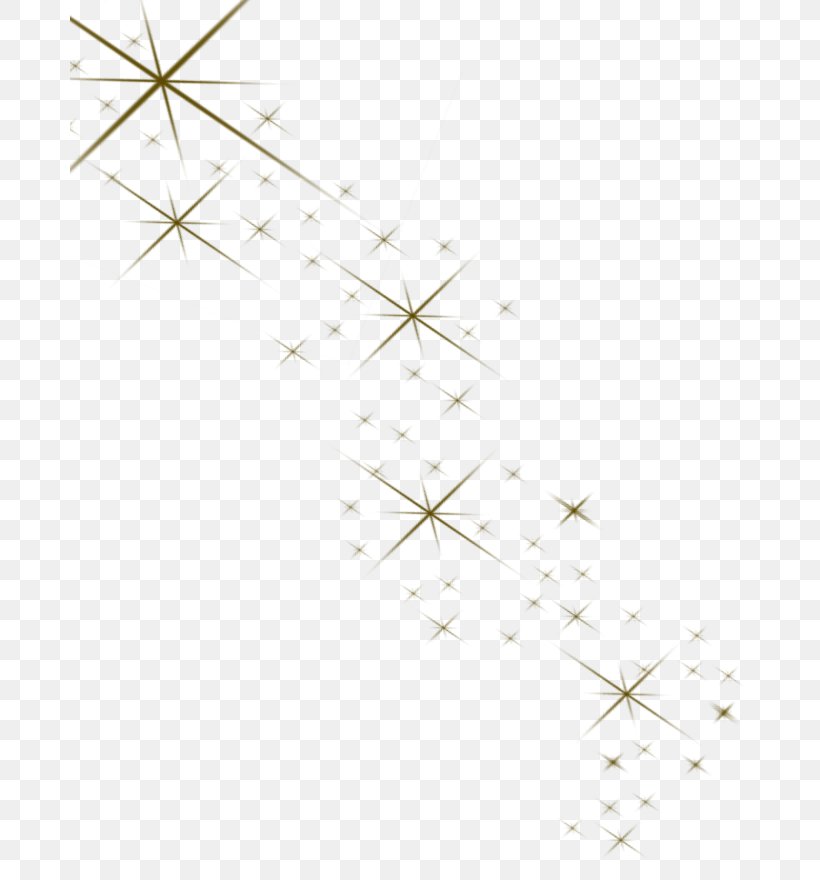 Line Point Angle Star, PNG, 680x880px, Point, Area, Branch, Star, Symmetry Download Free