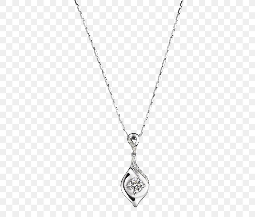 Locket Necklace Silver Chain Jewellery, PNG, 700x700px, Locket, Black, Black And White, Body Jewelry, Body Piercing Jewellery Download Free