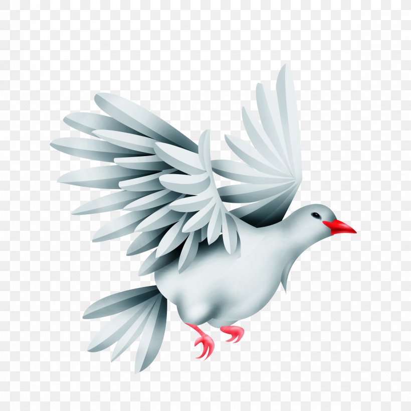 Bird Green Pigeon Rock Dove, PNG, 2362x2362px, Bird, Beak, Columbidae, Drawing, Ducks Geese And Swans Download Free