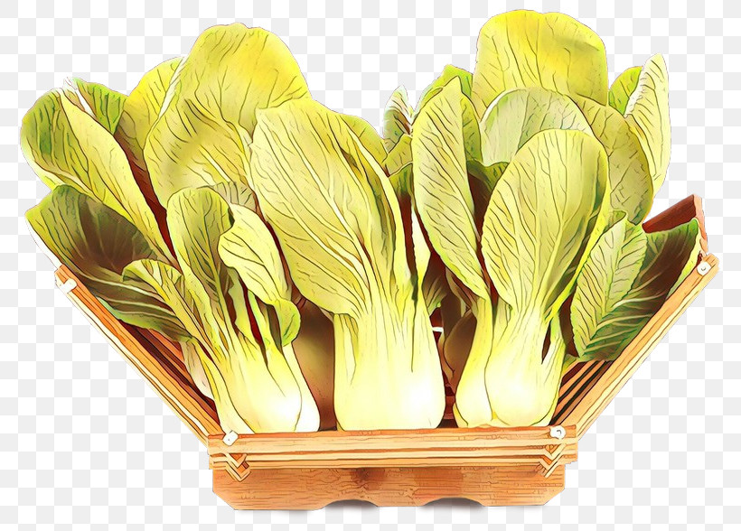 Flower Plant Chinese Cabbage Vegetable Petal, PNG, 800x588px, Flower, Chinese Cabbage, Herbaceous Plant, Leaf Vegetable, Petal Download Free