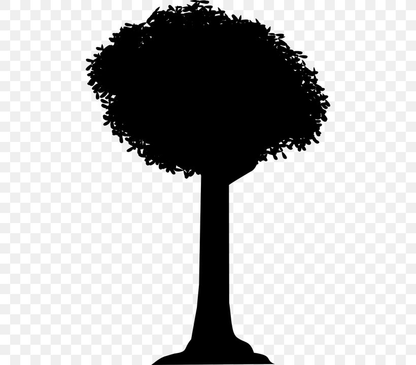 Tree Silhouette Shadow Clip Art, PNG, 482x720px, Tree, Black And White, Monochrome Photography, Photography, Plane Download Free