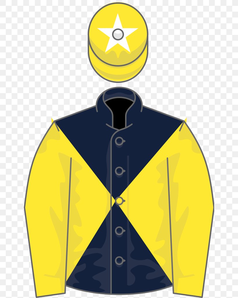 2017 Melbourne Cup T-shirt Sleeve Fred Winter Juvenile Novices' Handicap Hurdle Hoodie, PNG, 656x1024px, Tshirt, Champion, Champion Hurdle, Clothing, Fred Winter Download Free